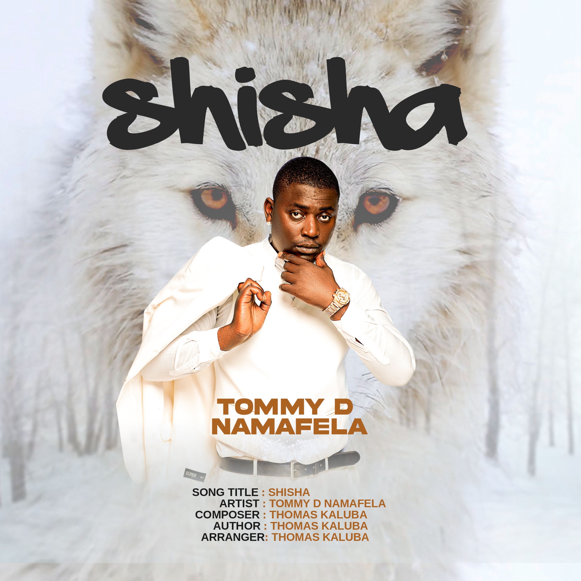 DOWNLOAD/STREAM: Tommy D Namafela - Shisha (Mp3)