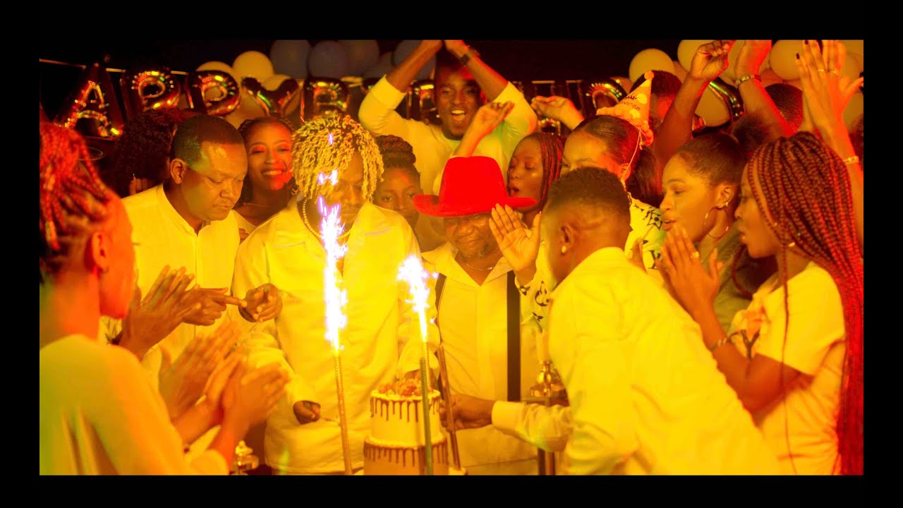 Rayvanny - Birthday (Official Video)