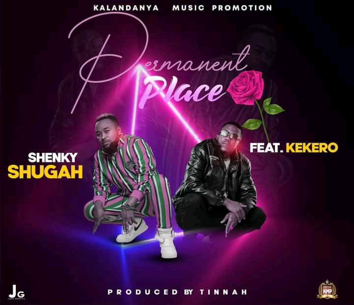 Shenky ft. Kekero - Permanent Place