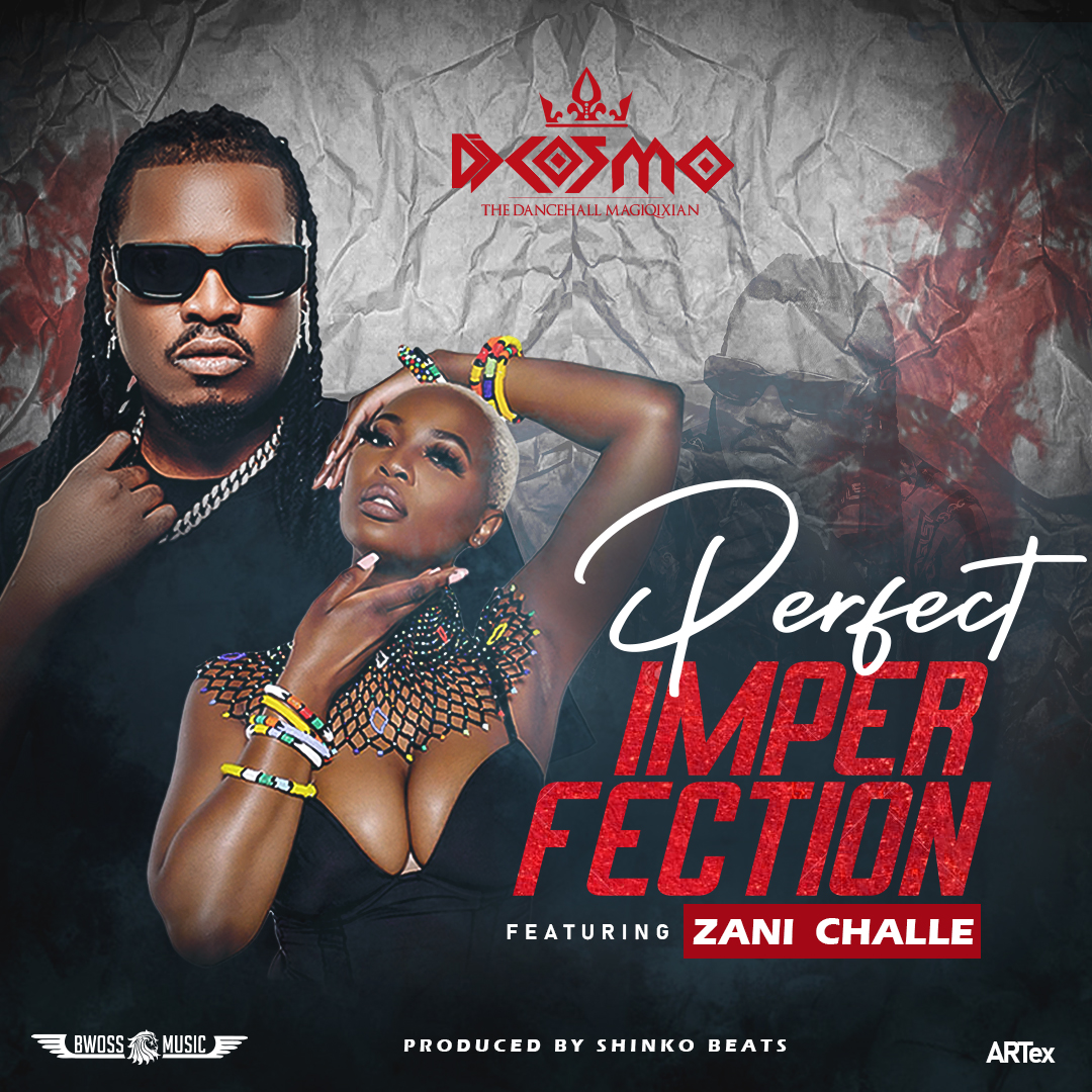 Dj Cosmo ft. Zani Challe - Perfect Imperfection Mp3