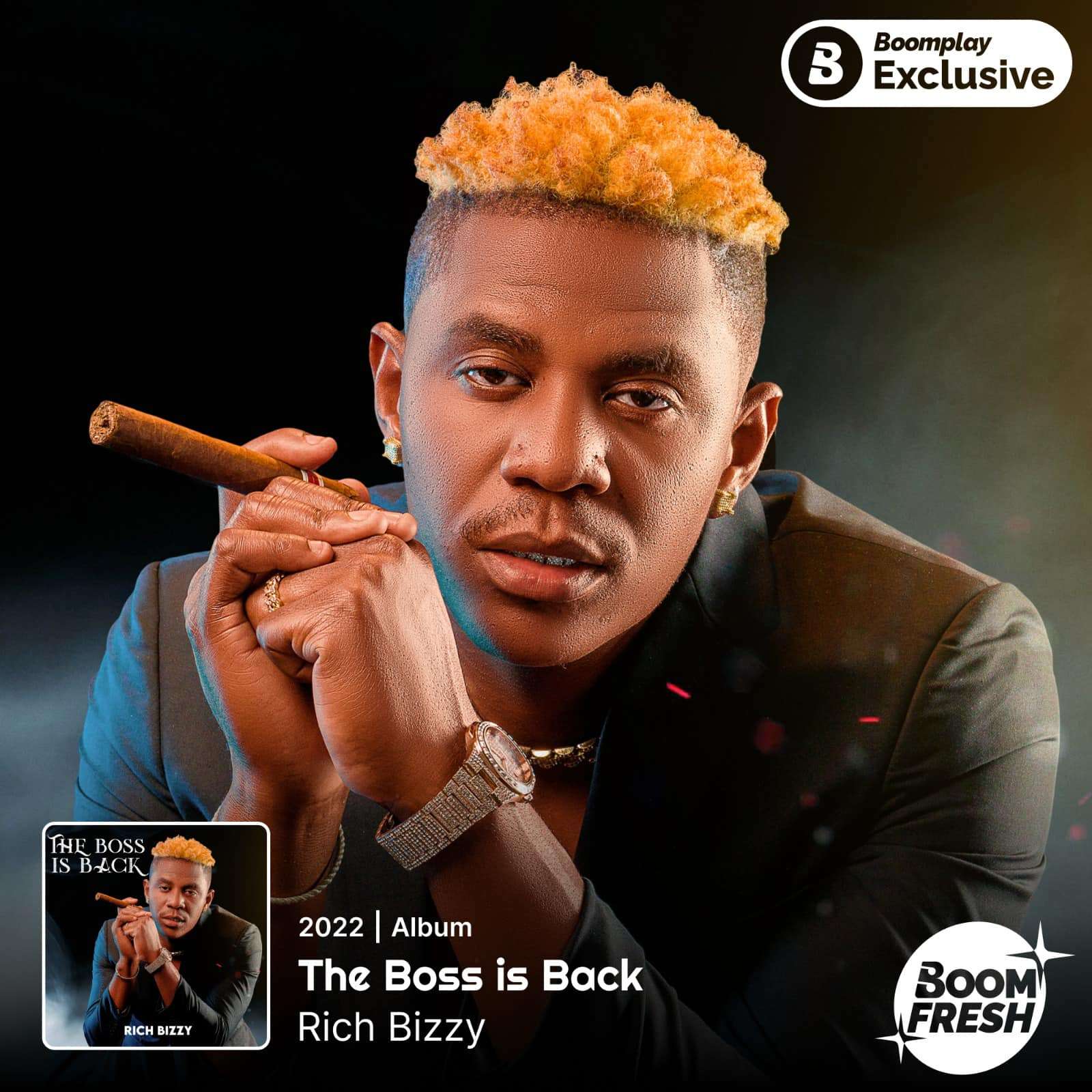 Rich Bizzy - The Boss is Back (Full Album)