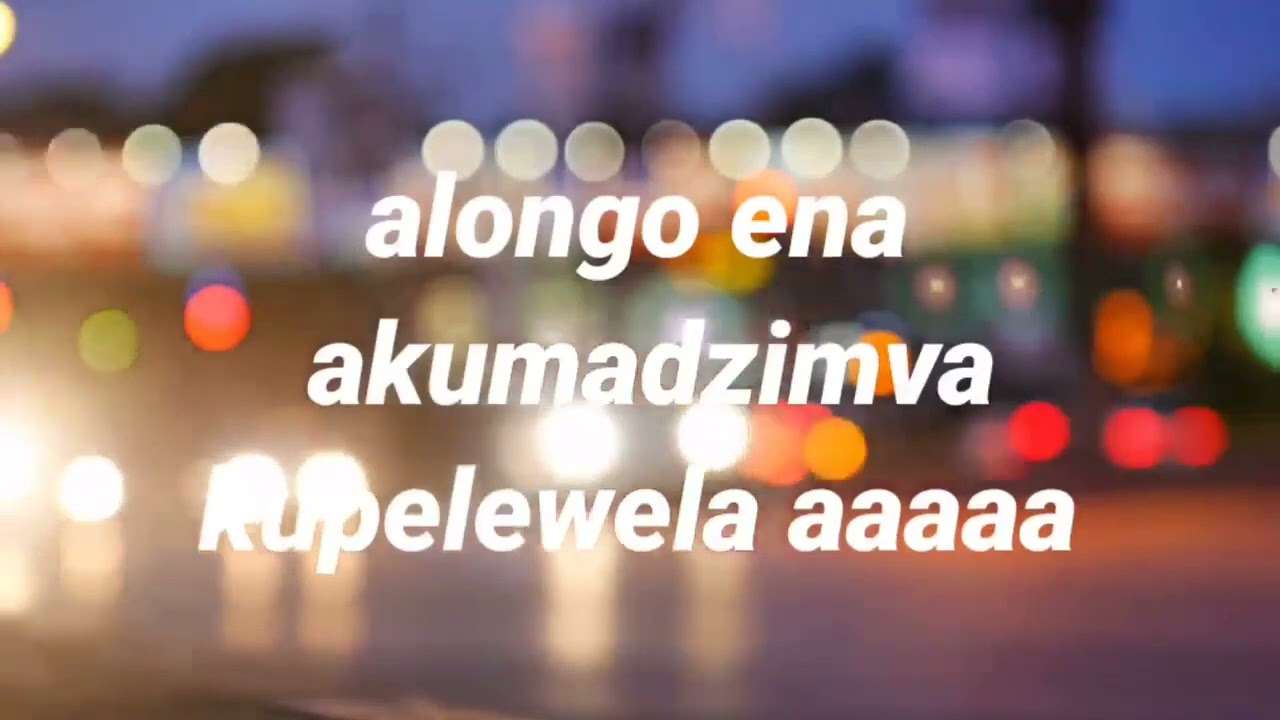 Namadingo - Terera (Lyrics Video)