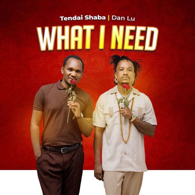 Dan Lu & Tendai Shaba - What I Need