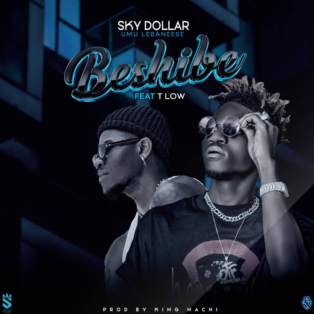 Sky Dollar ft. T Low – Beshibe