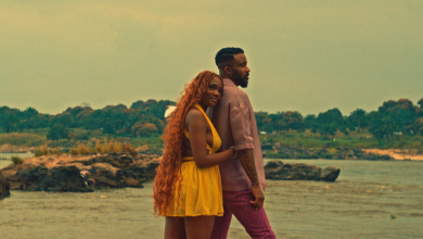 Fally Ipupa - Afsana Video