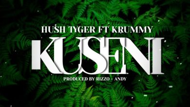 Hush Tiger Ft. Krummy - Kuseni