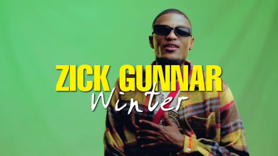 Zick Gunnar Ft. Sulky - Winter Visualizer