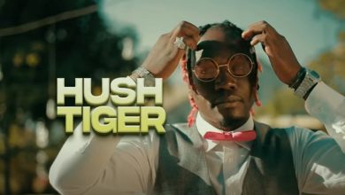 Hush Tiger Ft. Krummy - Kuseni