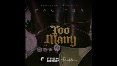 Malinga - Too Many Mp3
