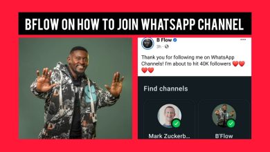 Watch B'Flow Teaches Artists On How To Make WhatsApp Channel