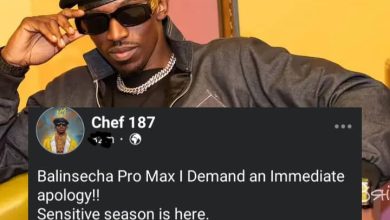 Watch The Moment A Fan Reached For Chef 187's Pro Max