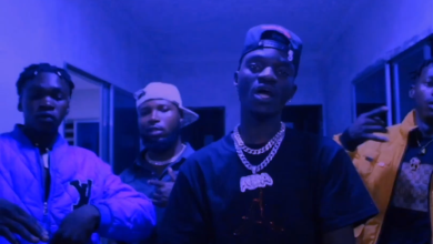 Sky Dollar - Ine Video