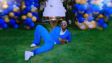 Harmonize - Boss Video