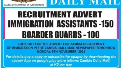 Recruitment Advert: Immigration Assistants Open Job - Apply