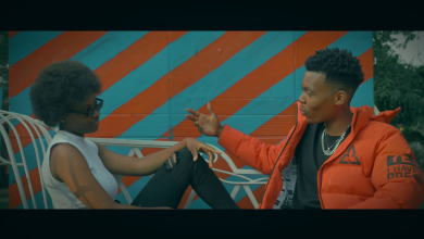 Styve Ace - My Brain Video