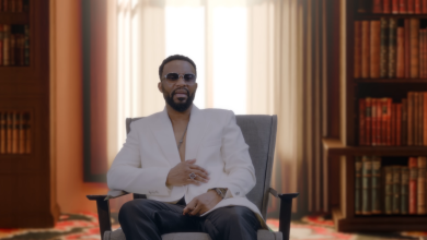 Fally Ipupa - Alliance Video