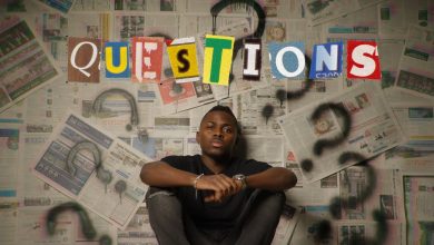 Michael Brown - Questions Visualizer