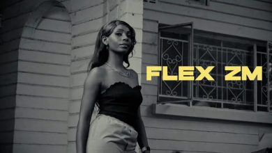 Flex Zm - Fallin Video