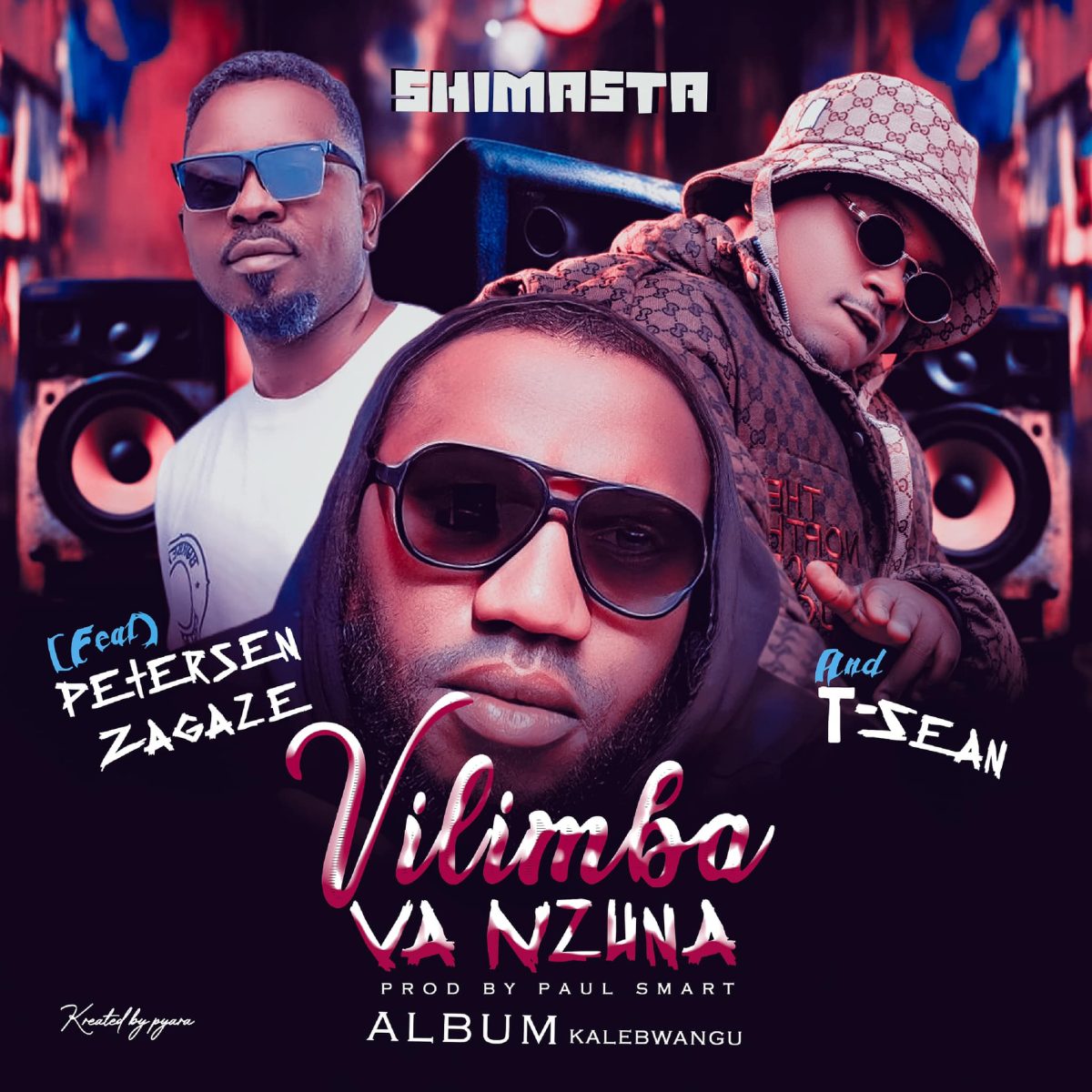 Shimasta ft. Petersen & T-Sean - Vilimba Va Nzuna