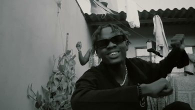 Ace Trap ft. Adina - Take My Soul