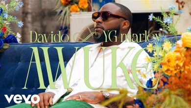 Davido & YG Marley – Awuke Video