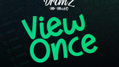 Drimz ft. BrokenHill Emmy – View Once