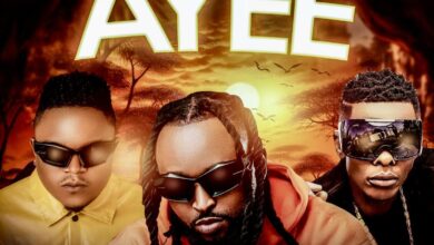 Shenky ft. Jose Chameleon & D Bwoy Telem - Ayee