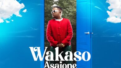 T-Sean - Wasako Asaione
