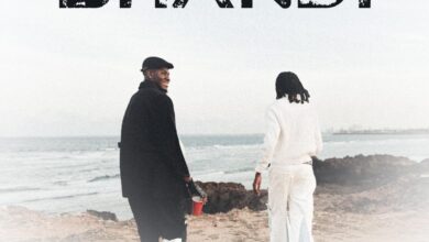 Jay Rox ft. T-Low - Shandi