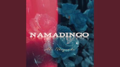 Namadingo - Aka Nkoyamba