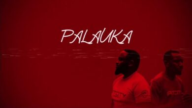 Mag44 - Palauka (Lyric Video)