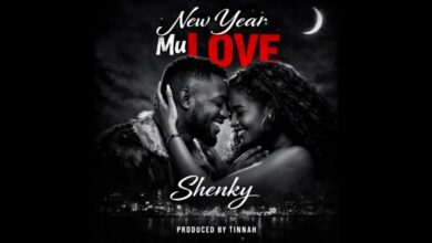 Shenky - New Year Mu Love