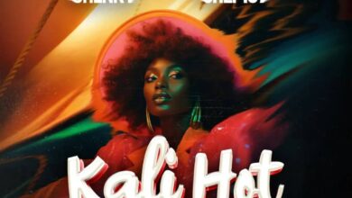 Shenky ft. Chef 187 - Kali Hot