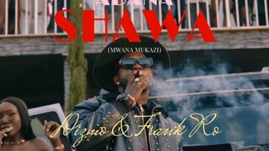 Dizmo ft. Frank Ro-Abana Shawa Video