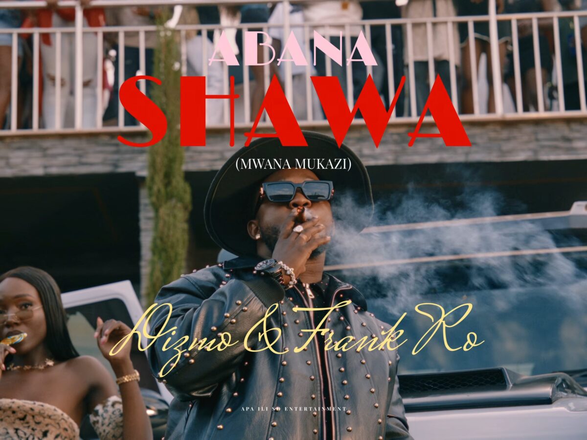 Dizmo ft. Frank Ro-Abana Shawa Video