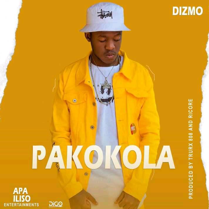 Dizmo - Pakokola