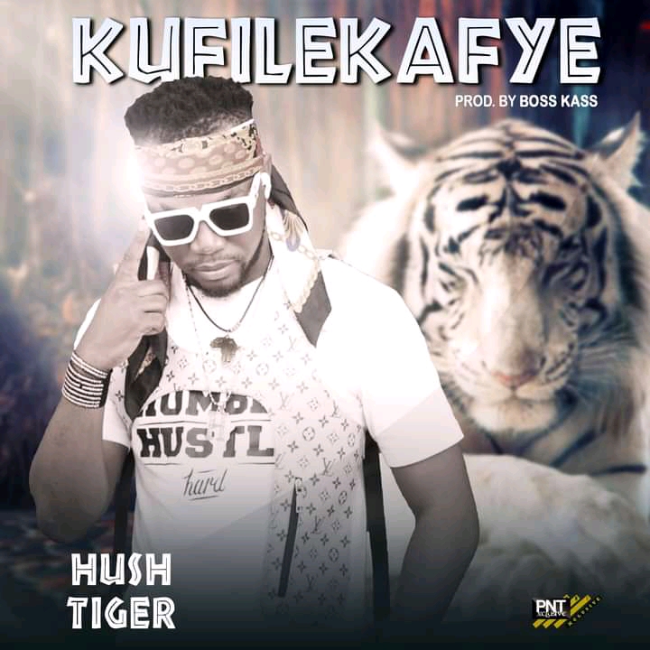 Hush Tiger - Kufilekafye (Prod. Kass Filya)