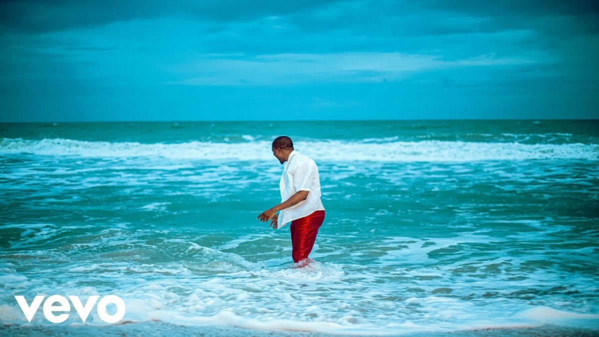 Vector – License (Official Video)