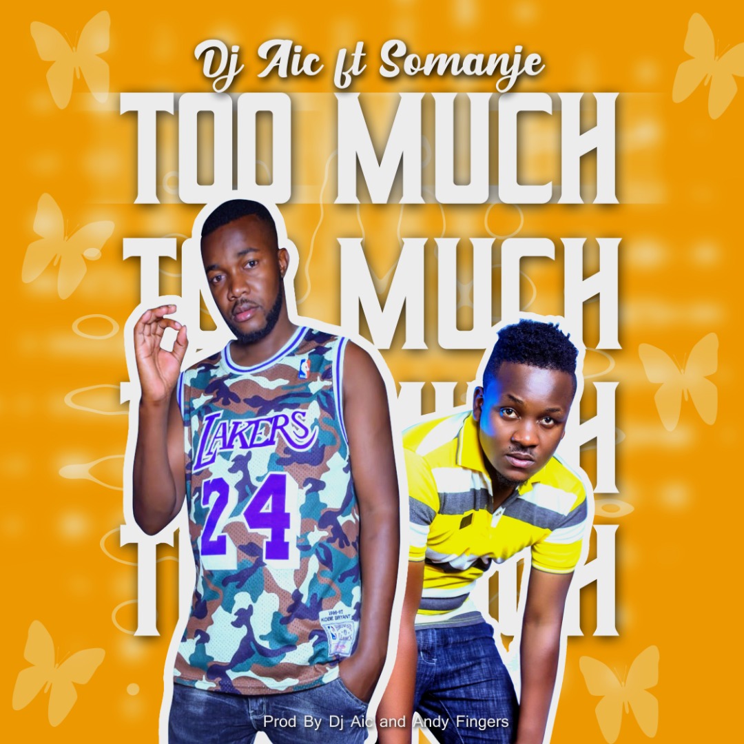 DJ A.I.C ft. So-Manje - Too Much