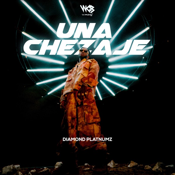 Diamond Platnumz - Unachezaje Mp3
