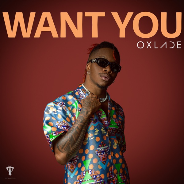 Oxlade – Want You Mp3