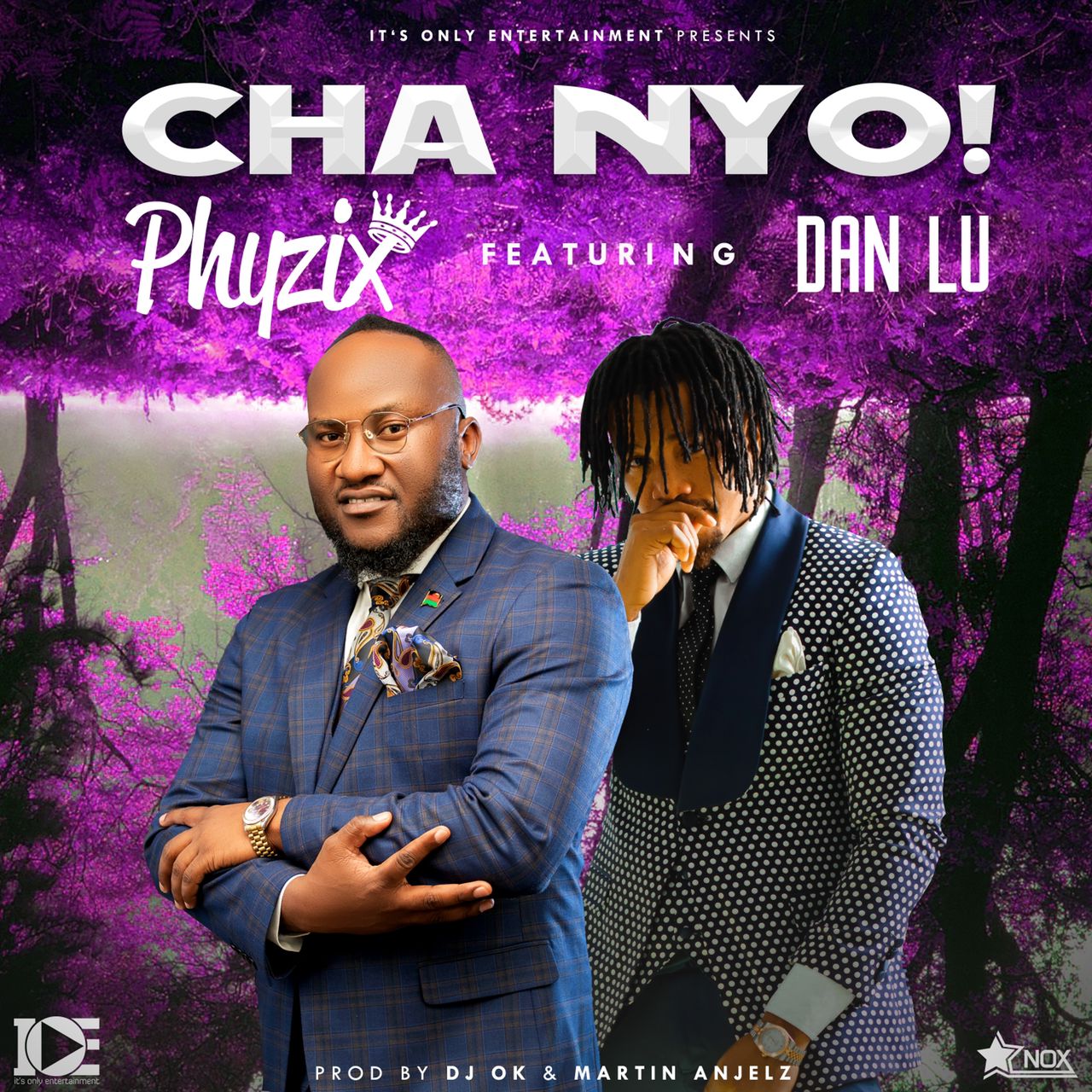 Phyzix ft. Dan Lu - Cha Nyo