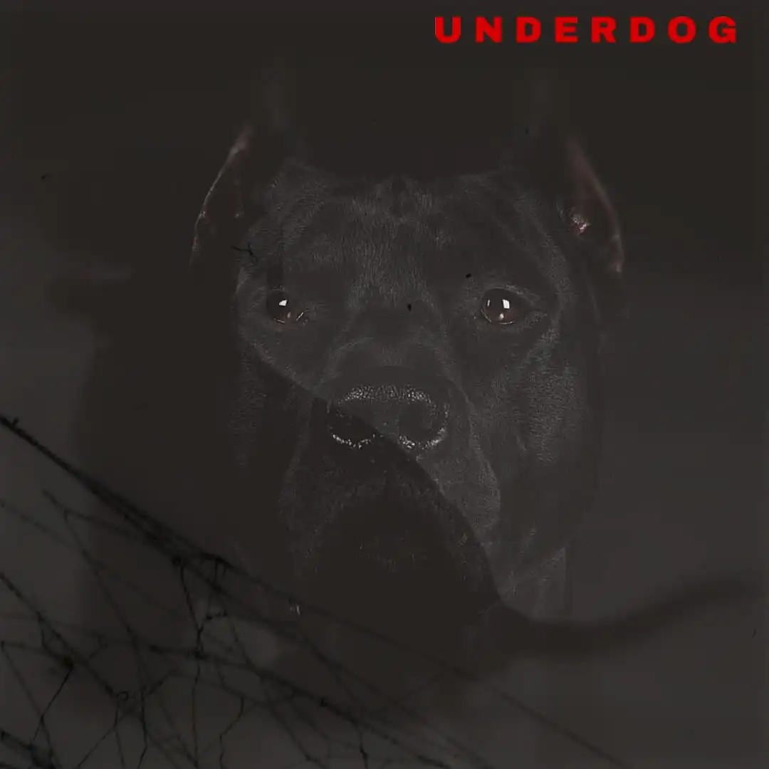 Aqualaskin - Underdog