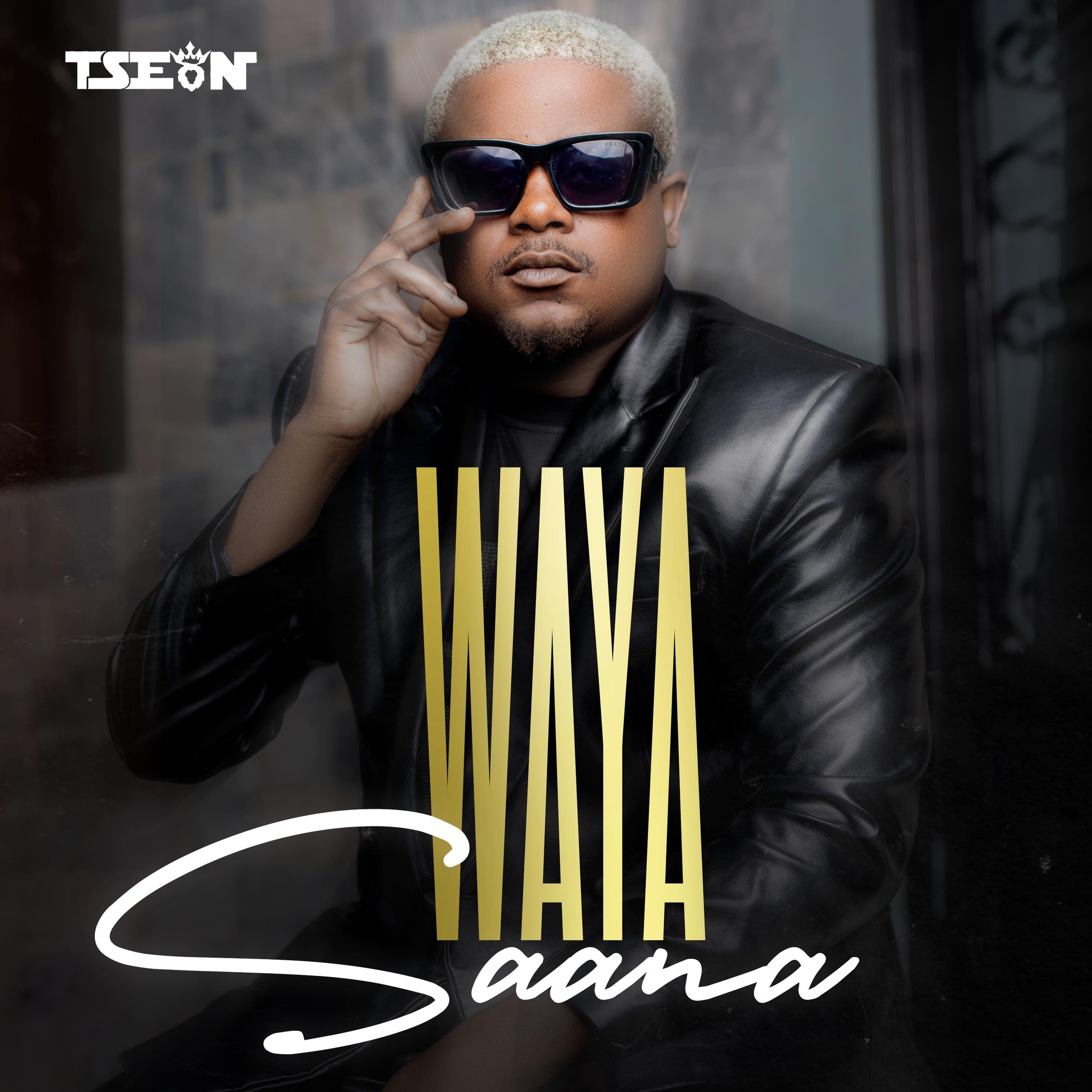 T-Sean - Waya Saana Mp3 Download