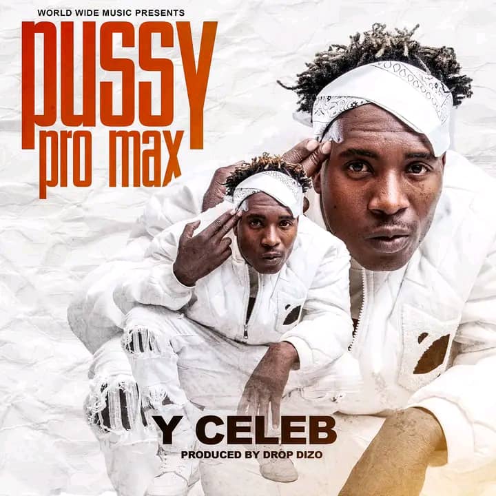 Y Celeb – Pussy Pro Max (Mutale Mwanza Diss) Mp3 Download