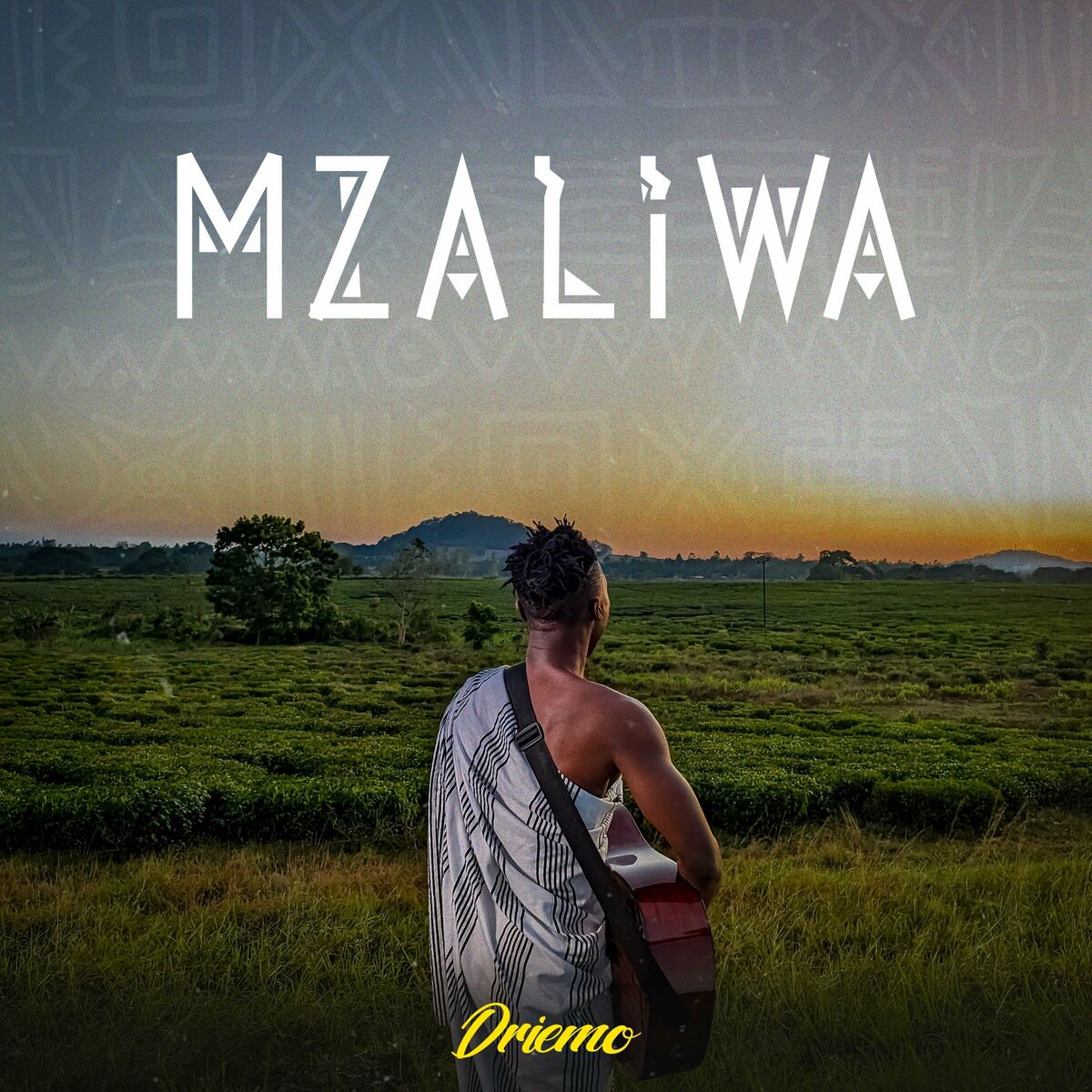 Driemo – Mzaliwa Full Album