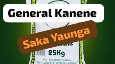 General Kanene - Saka Yaunga Mp3