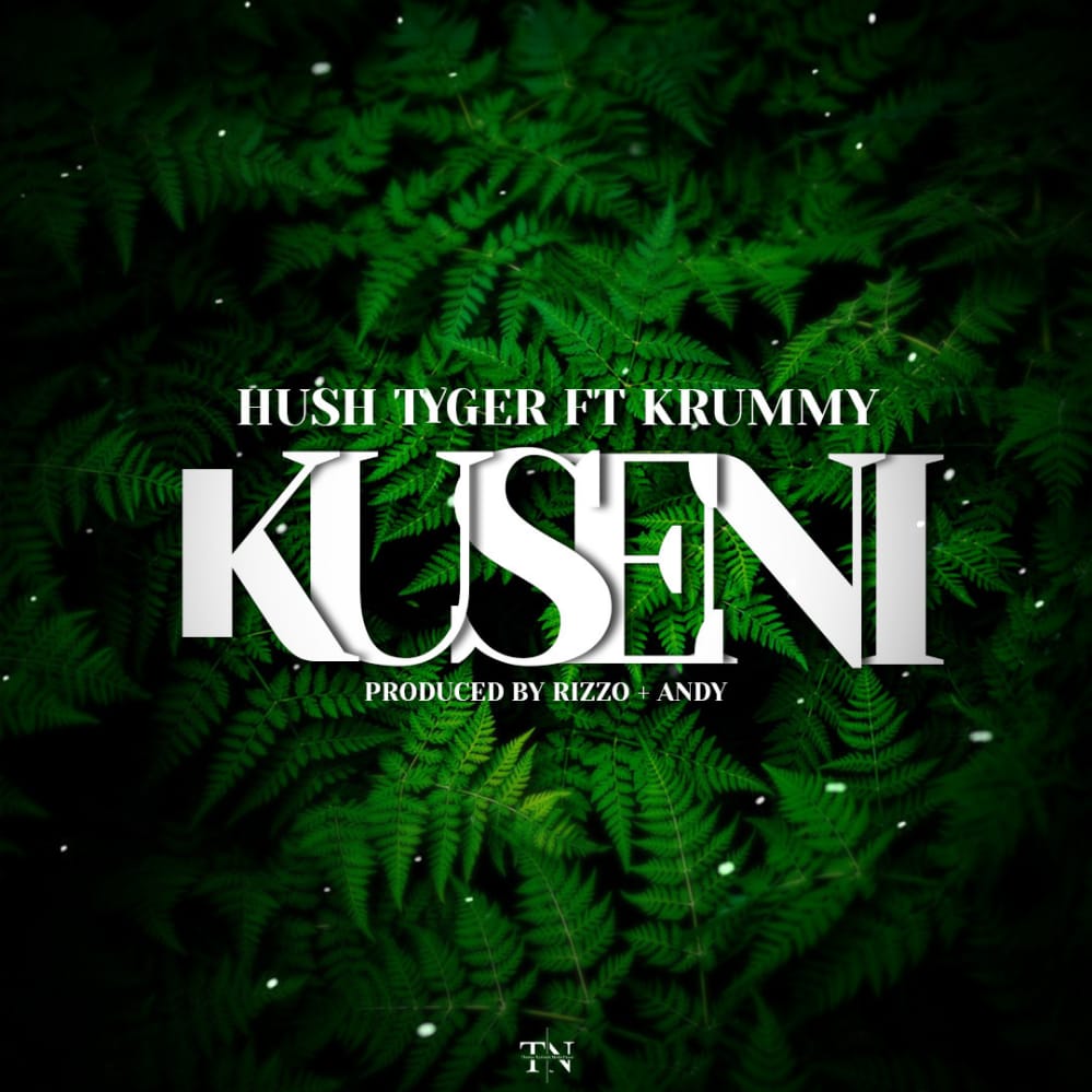 Hush Tiger Ft. Krummy - Kuseni