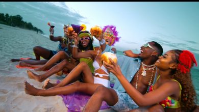 Jux Ft. Diamond Platnumz - Enjoy Video