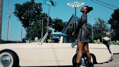 MzVee - Destiny Video
